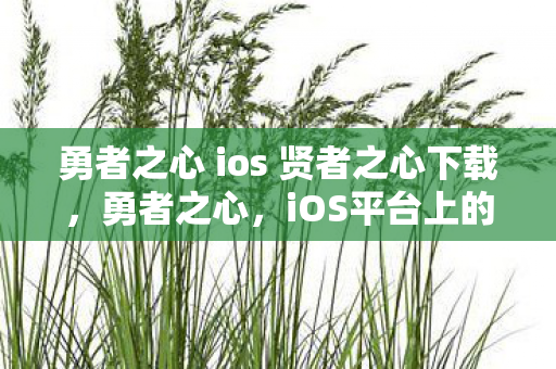 勇者之心 ios 贤者之心下载图片