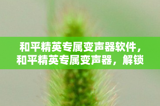 和平精英专属变声器软件图片