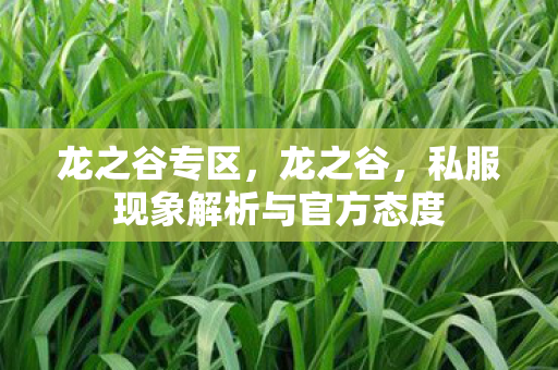 龙之谷专区，龙之谷，私服现象解析与官方态度