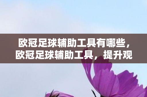 欧冠足球辅助工具有哪些图片