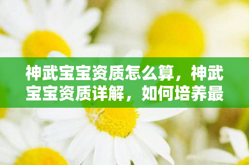 神武宝宝资质怎么算，神武宝宝资质详解，如何培养最强宠物？