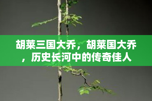 历史长河中的传奇佳人图片