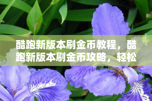 酷跑新版本刷金币教程图片