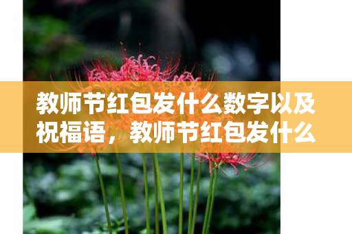 教师节红包发什么数字以及祝福语图片