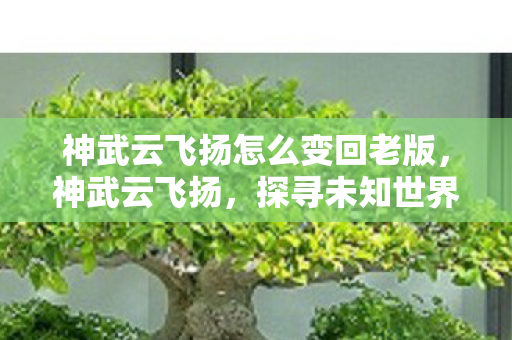 神武云飞扬怎么变回老版，神武云飞扬，探寻未知世界的勇者传奇