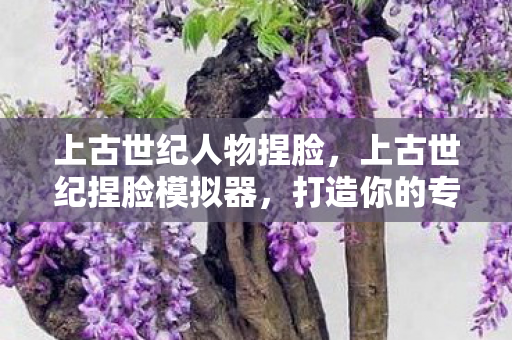 上古世纪人物捏脸，上古世纪捏脸模拟器，打造你的专属虚拟形象