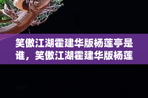 笑傲江湖霍建华版杨莲亭是谁，笑傲江湖霍建华版杨莲亭，经典角色的重塑与演绎