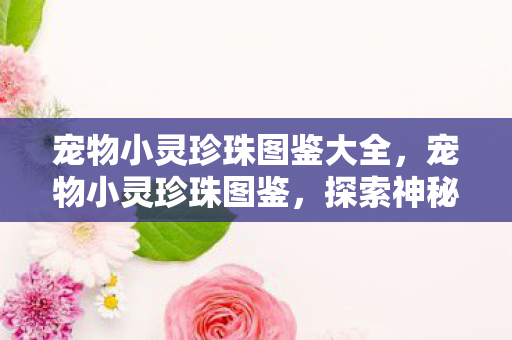 宠物小灵珍珠图鉴大全，宠物小灵珍珠图鉴，探索神秘的水下世界