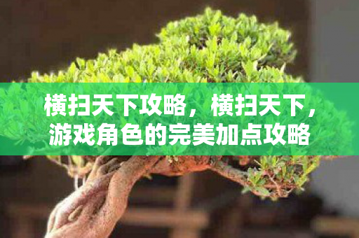 横扫天下攻略，横扫天下，游戏角色的完美加点攻略