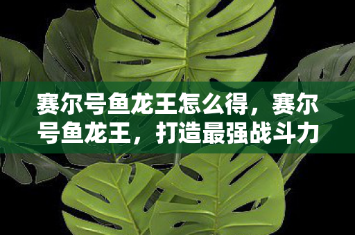 打造最强战斗力的全面指南图片