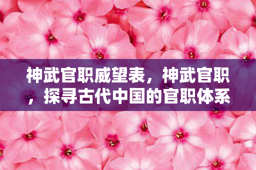 神武官职威望表，神武官职，探寻古代中国的官职体系与文化内涵