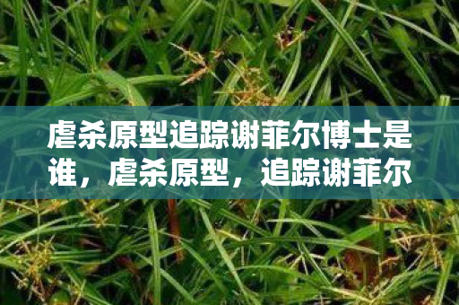 虐杀原型追踪谢菲尔博士是谁图片