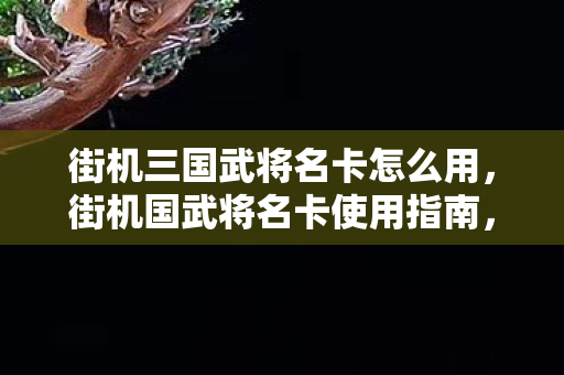 街机三国武将名卡怎么用，街机国武将名卡使用指南，解锁历史名将的荣耀