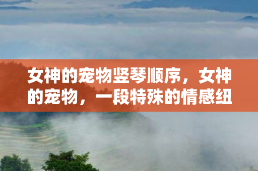 女神的宠物竖琴顺序，女神的宠物，一段特殊的情感纽带