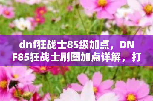 dnf狂战士85级加点，DNF85狂战士刷图加点详解，打造高效战斗力的关键