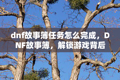 dnf故事簿任务怎么完成，DNF故事簿，解锁游戏背后的神秘故事