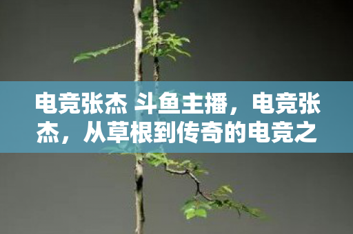 电竞张杰 斗鱼主播,电竞张杰,从草根到传奇的电竞之路 电竞张杰 斗鱼主播,电竞张杰,从草根到传奇的电竞之路