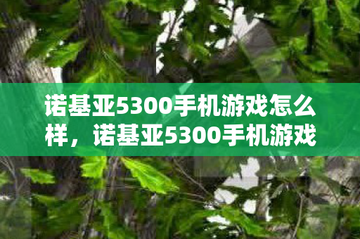 诺基亚5300手机游戏怎么样，诺基亚5300手机游戏，经典回忆与现代科技的碰撞