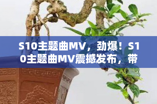 S10主题曲MV，劲爆！S10主题曲MV震撼发布，带你领略电子竞技的激情与荣耀！