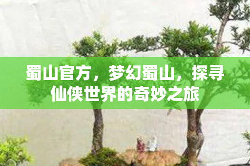 蜀山官方，梦幻蜀山，探寻仙侠世界的奇妙之旅