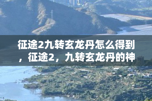 征途2九转玄龙丹怎么得到，征途2，九转玄龙丹的神秘传说