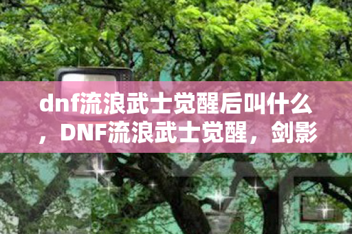 dnf流浪武士觉醒后叫什么图片
