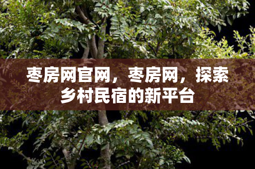 探索乡村民宿的新平台图片