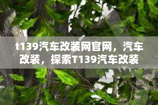 t139汽车改装网官网图片