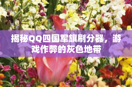 揭秘QQ四国军旗刷分器图片