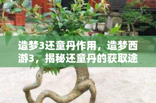 揭秘还童丹的获取途径图片