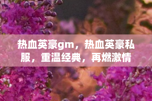 热血英豪gm图片