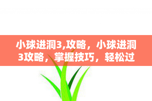 小球进洞3,攻略，小球进洞3攻略，掌握技巧，轻松过关