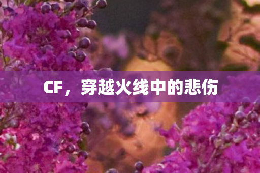 穿越火线中的悲伤图片