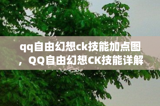 qq自由幻想ck技能加点图图片