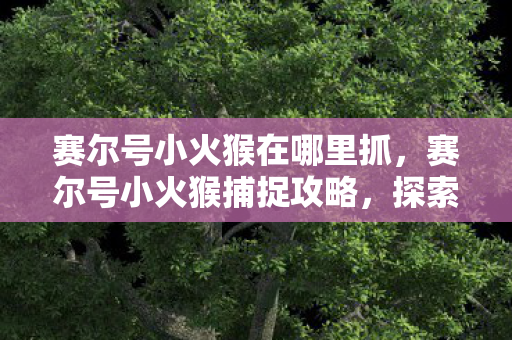 赛尔号小火猴在哪里抓图片