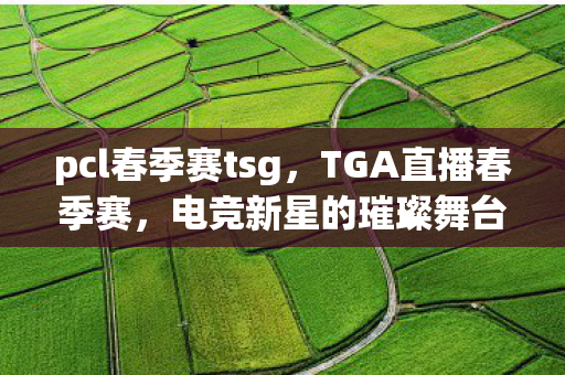 pcl春季赛tsg图片