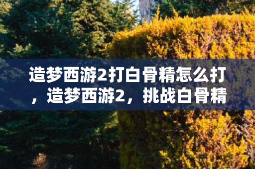 造梦西游2打白骨精怎么打图片