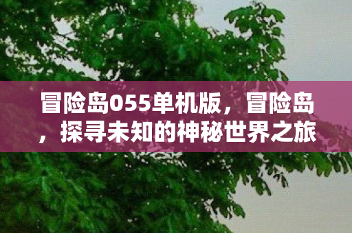 冒险岛055单机版，冒险岛，探寻未知的神秘世界之旅（第055篇）