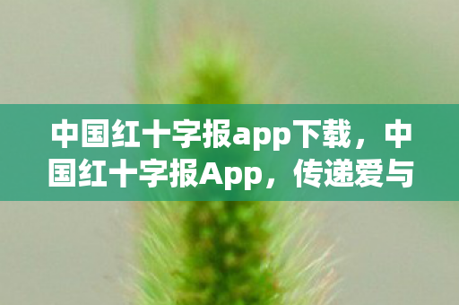中国红十字报app下载图片