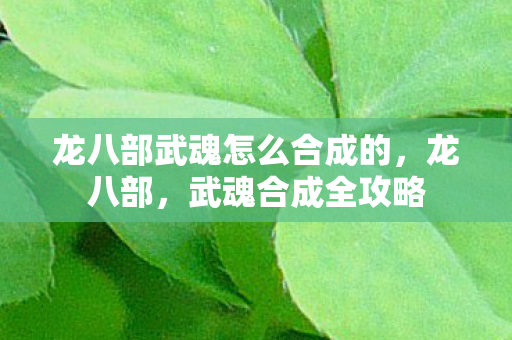 龙八部武魂怎么合成的图片