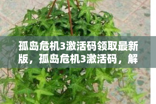 孤岛危机3激活码领取最新版图片