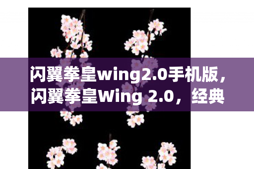 闪翼拳皇Wing 2图片