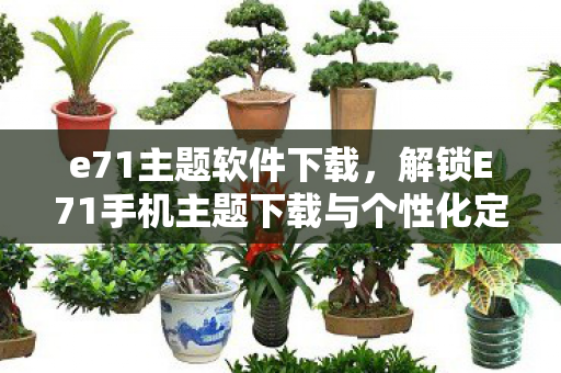 e71主题软件下载，解锁E71手机主题下载与个性化定制