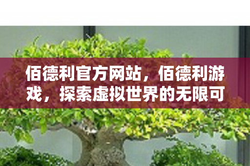 探索虚拟世界的无限可能图片