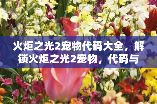 火炬之光2宠物代码大全图片