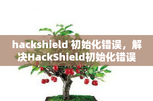 hackshield 初始化错误，解决HackShield初始化错误，全面指南