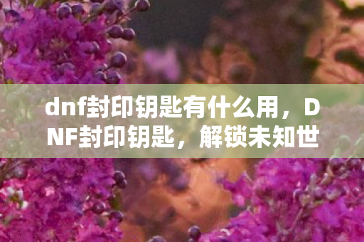dnf封印钥匙有什么用图片