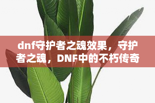 dnf守护者之魂效果图片