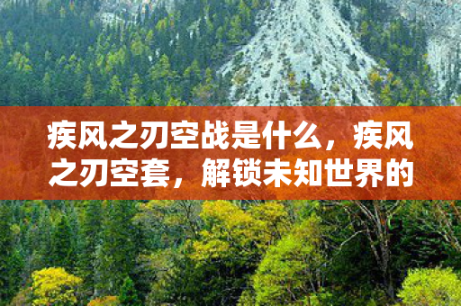 疾风之刃空战是什么，疾风之刃空套，解锁未知世界的神秘之旅