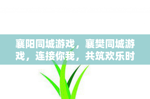 襄阳同城游戏，襄樊同城游戏，连接你我，共筑欢乐时光